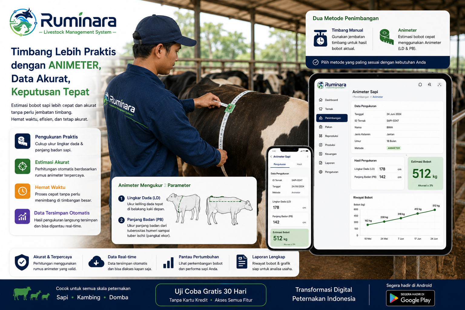 Pengukuran lingkar dada sapi dengan Animeter dan pencatatan bobot di aplikasi RUMINARA