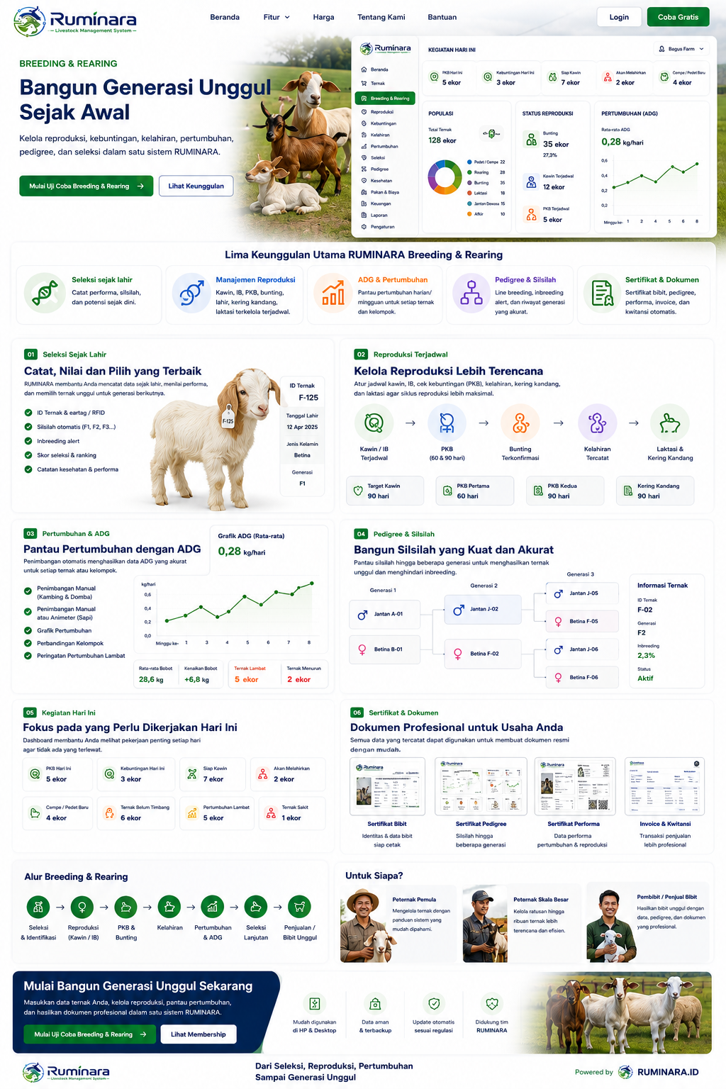Tampilan aplikasi Breeding & Rearing RUMINARA untuk kambing, domba, dan sapi